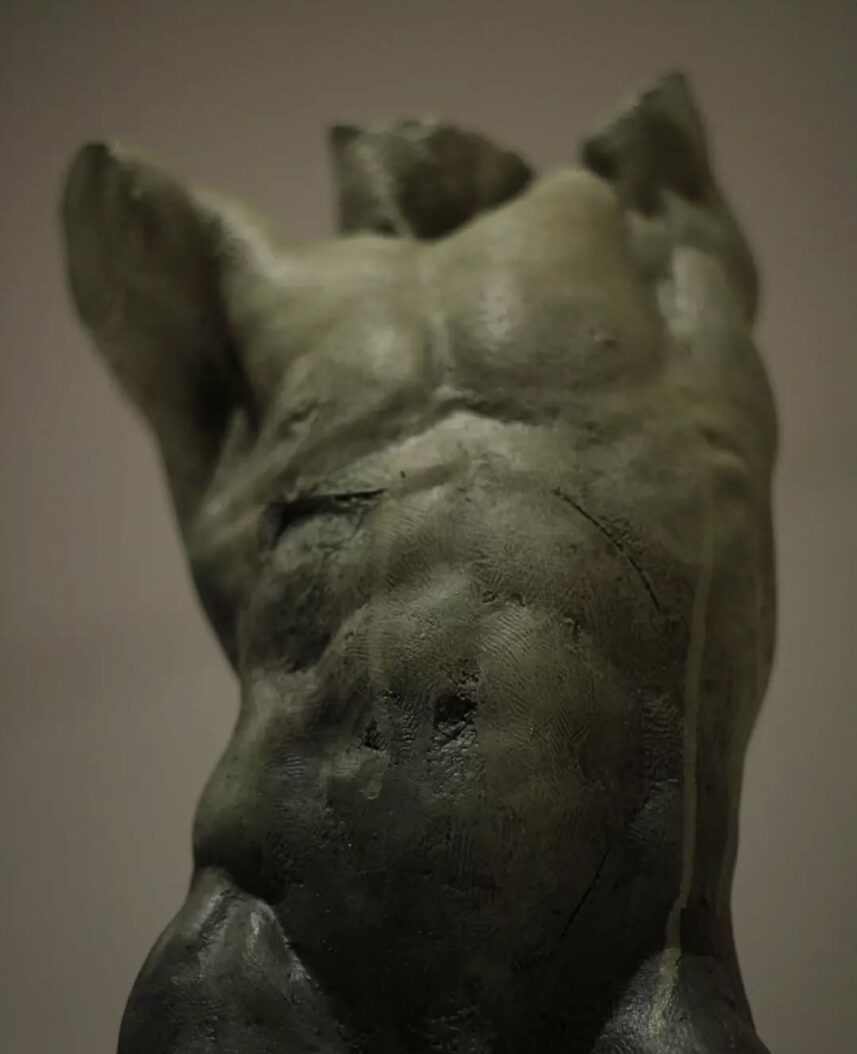 TORSO