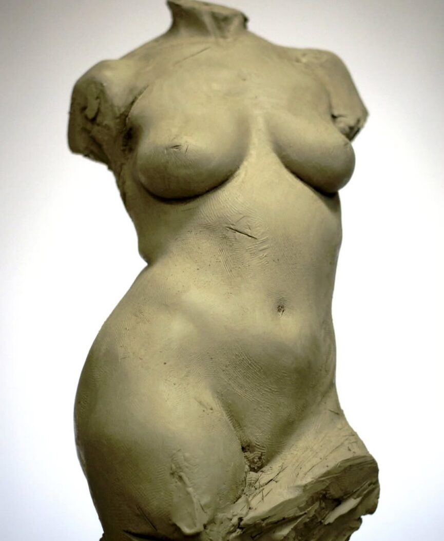 TORSO
